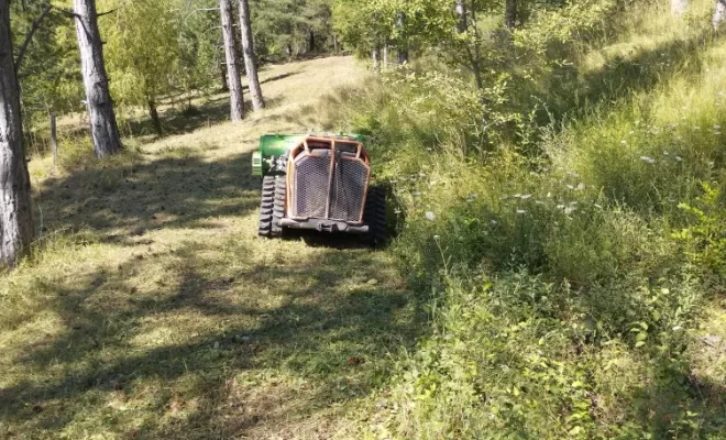 Entretien de foret privée, Embrun, Pierre Bois & Jardins
