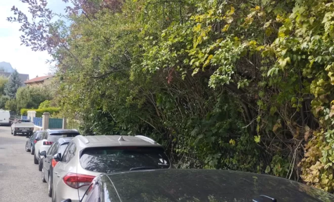 Les Obligations Légales de Débroussaillement, Embrun, Pierre Bois & Jardins