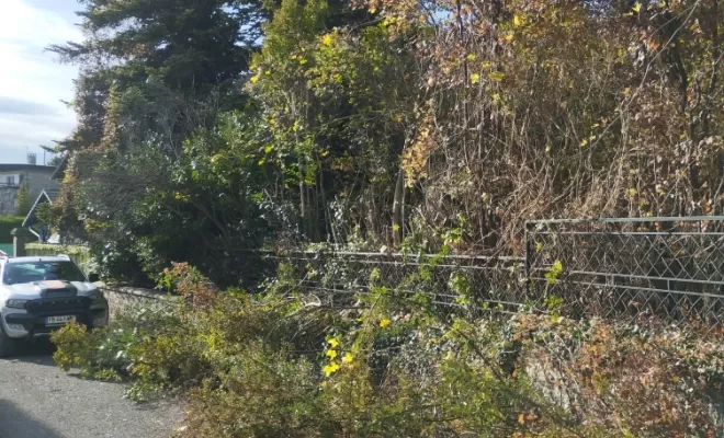Les Obligations Légales de Débroussaillement, Embrun, Pierre Bois & Jardins