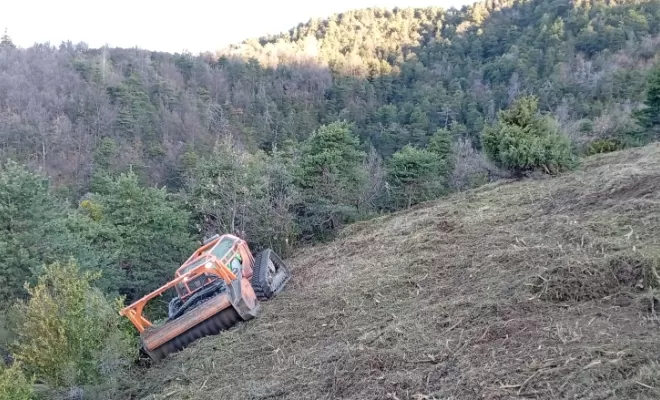 Le débroussaillage, focus sur la réouverture de patûre, Embrun, Pierre Bois & Jardins